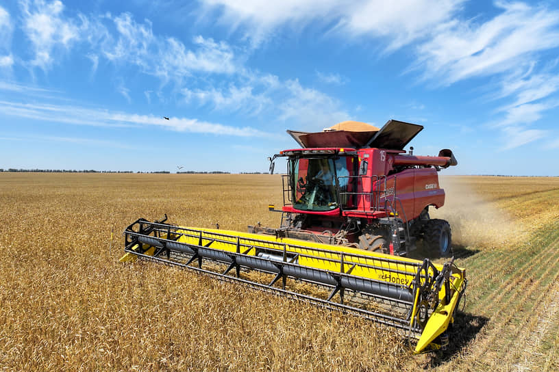 Из Татарстана в Вьетнам отправили 3,95 тысячи тонн пшеницы