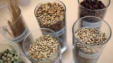 Из Татарстана в Иран отправили 5,1 тыс. тонн ячменя