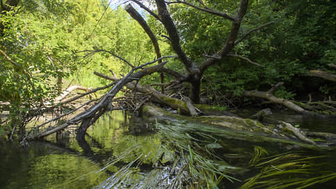 В Татарстане на экологическую реабилитацию рек направили 70,5 млн рублей