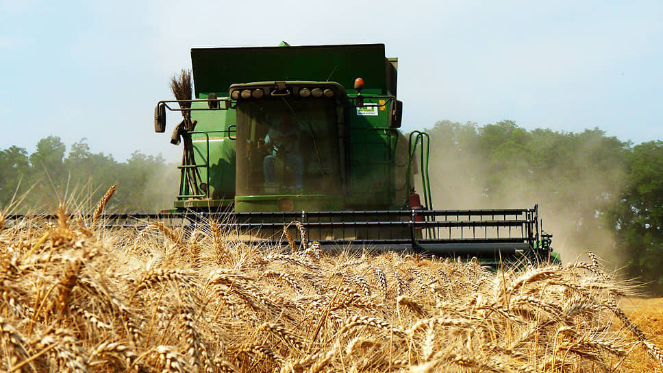 В Татарстане с 2026 года господдержка фермеров вырастет до 718 млн рублей