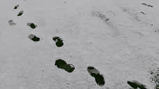 В Чувашии объявили желтый уровень опасности из-за гололеда и плохой видимости