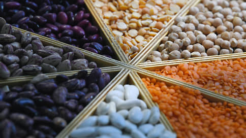 Казанские исследователи нашли замену химическим удобрениям для озимой пшеницы