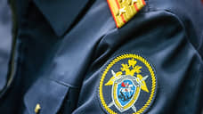 СК возбудил уголовное дело после нападения собак на 9-летнюю девочку в Татарстане