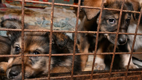 Депутат Госдумы от Татарстана стал соавтором законопроекта о разведении животных