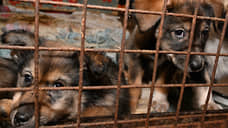 Депутат Госдумы от Татарстана стал соавтором законопроекта о разведении животных