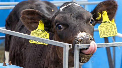 Татарстану на развитие геномной селекции в животноводстве направят 11,9 млн