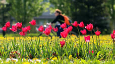 На содержание парков и скверов Казани в 2026 году выделили 378,5 млн рублей