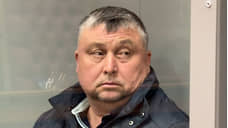 Андрей Черкасин признался в организации нападения на Ирину Шевыреву