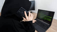 В Татарстане ущерб от киберпреступлений превысил 5 млрд рублей