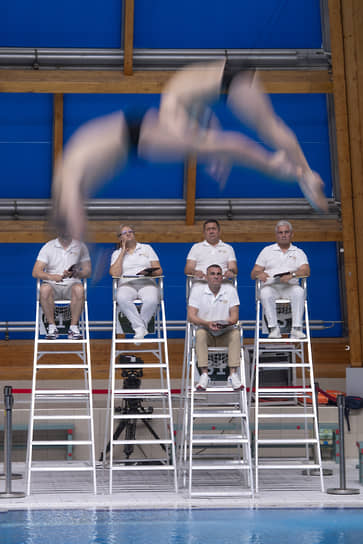Чемпионат России по прыжкам в воду