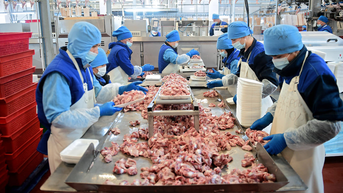 Цыплят по осени посчитали