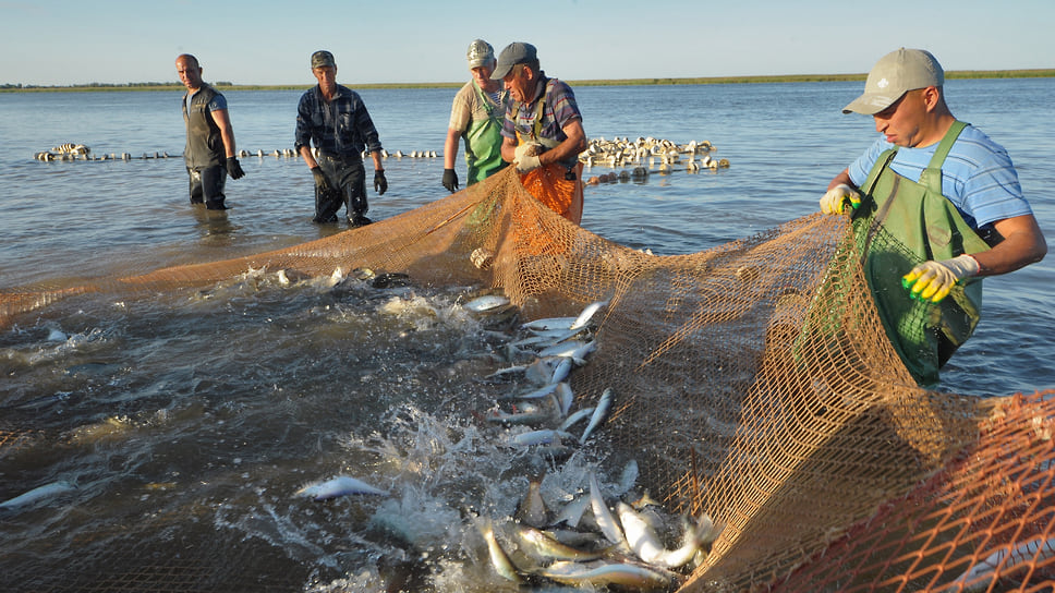 Из-за проведения спецоперации на Украине в Азовском море вынуждены простаивать десятки рыболовецких компаний