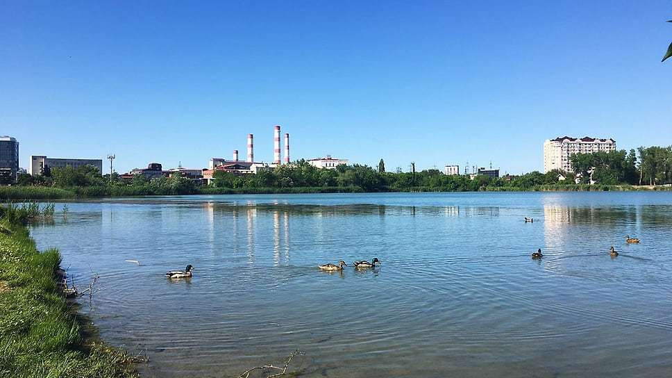 Застройщик «РенКапСтрой» планировал освоить берег озера Старая Кубань, где изначально имелись ограничения на строительство