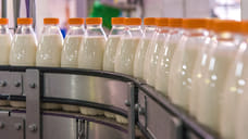 Власти Адыгеи заявили об острой нехватке молока для перерабатывающих предприятий