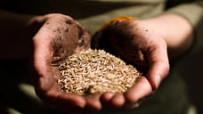 Прибыль Новороссийского комбината хлебопродуктов снизилась на 17,5%
