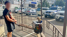 В Геленджике пресекли незаконные фотосессии с животными