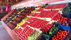 В 2023 году на Кубани работали более 240 придорожных ярмарок