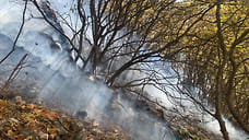 На пятые сутки в Крыму потушили пожар на горе Бойко