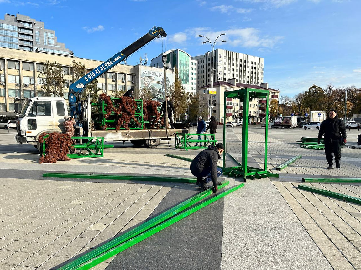 На Главной городской площади Краснодара начали устанавливать новогоднюю  елку – Коммерсантъ Краснодар