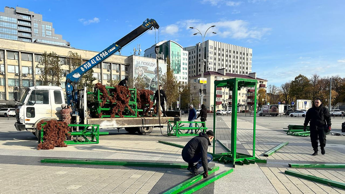 На Главной городской площади Краснодара начали устанавливать новогоднюю  елку – Коммерсантъ Краснодар