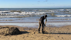 На побережье Черного моря пробы воздуха и воды соответствуют нормам