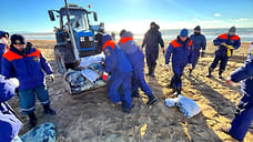 На Кубани собрано более 71 тысячи тонн загрязненного мазутом песка