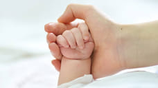 В Краснодаре в новогоднюю ночь родилось 28 детей