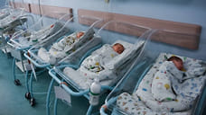 На Кубани в новогоднюю ночь родились 16 мальчиков и 24 девочки