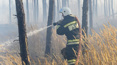 В Краснодарском крае ввели пожароопасный сезон