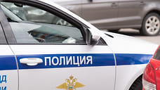 В Крыму возбудили уголовное дело в отношении петербуржца, выбросившего кошку