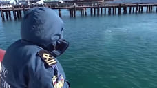Водолазы пока не нашли сгустки мазута под слоем песка в акватории Анапы