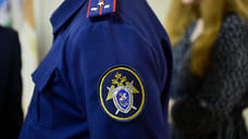 СКР инициировал проверку информации о массовой гибели птиц в Адыгее