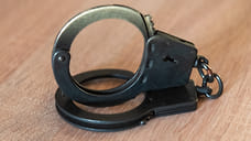 Вице-мэра Краснодара Нетребу отправили под домашний арест на два месяца