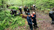 В Сочи спасли шесть туристов из каньона Порт-Артура