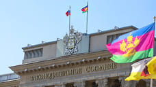 Кубанские депутаты поддержали семь федеральных законопроектов