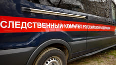 Бастрыкин потребовал доклад о смерти краснодарки после домашнего насилия