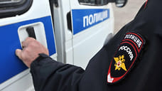 В Сочи проверяют сообщения об утоплении кошки пенсионером