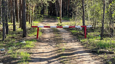 С 12 июня на Кубани ограничат посещение лесов