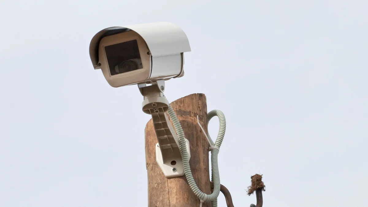 https://iy.kommersant.ru/Issues.photo/REGIONS/KRASNODAR_News/2025/06/15/KVR_001899_00370_1_t241_121321.webp