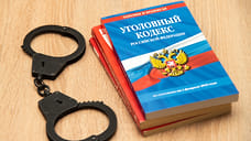 В Краснодаре расследуют дело о нападении на беременную жительницу