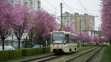 Краснодар возглавил рейтинг популярных направлений Кубани в l полугодии