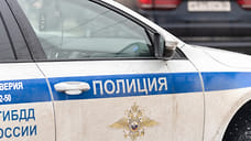 На Кубани семь иностранцев незаконно работали в цехе по переработке древесины