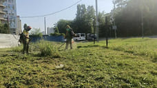 В Краснодаре очистили от сорняков более 19 тысяч га