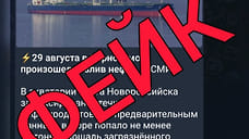 Оперштаб Кубани опроверг фейк о масштабе разлива нефти в Новороссийске