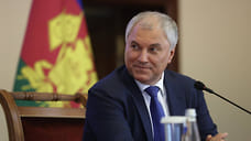 Володин: Кубань лидирует в сельхозпроизводстве и экспорте продовольствия