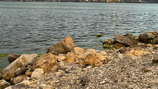 В Новороссийске в море нашли дрон