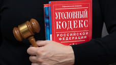 Жительницу Кубани обвиняют в мошенничестве с выплатами на несуществующего ребенка