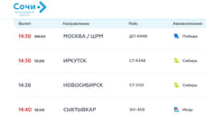 В аэропорту Сочи задерживается вылет и прилет более 40 рейсов