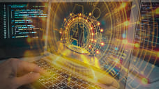 Объем налоговых поступлений от IT-компаний Кубани вырос на 15% в 2025 году