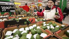 Импорт авокадо на Кубань увеличился на 4,5%